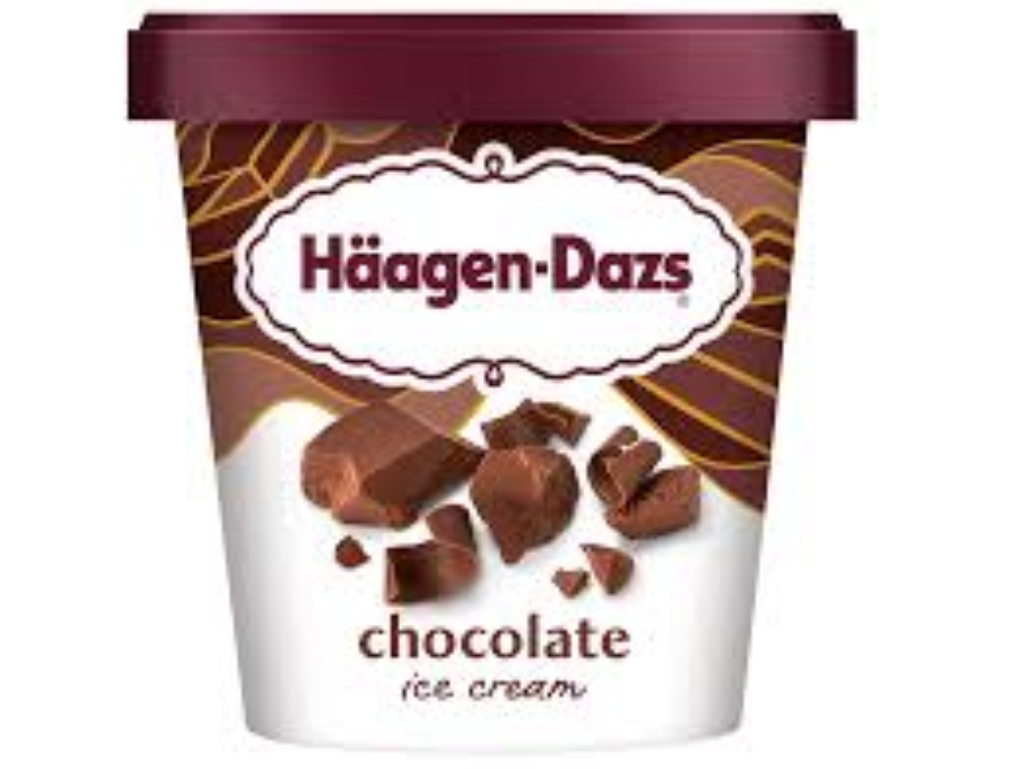 HAAGEN DAZS CHOCOLATE FONDANT 500ML